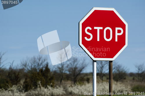 Image of Stop roadsign with nature background