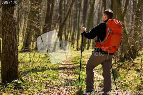 Image of Male hiker looking to the side walking in forest