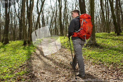 Image of Male hiker looking to the side walking in forest