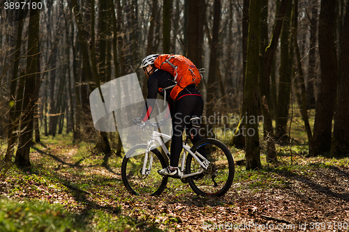 Image of Rider in action at Freestyle Mountain Bike Session