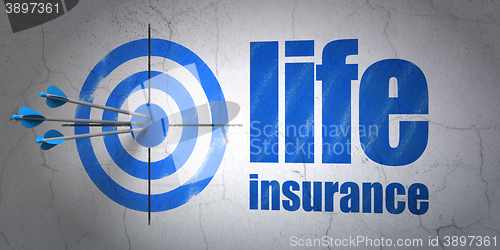 Image of Insurance concept: target and Life Insurance on wall background