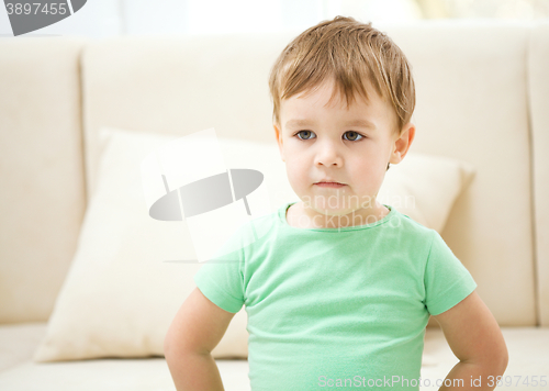 Image of Portrait of a little boy