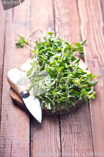 Image of marjoram on a wooden rustic table