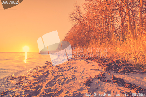 Image of Beach with trees in the sunrise