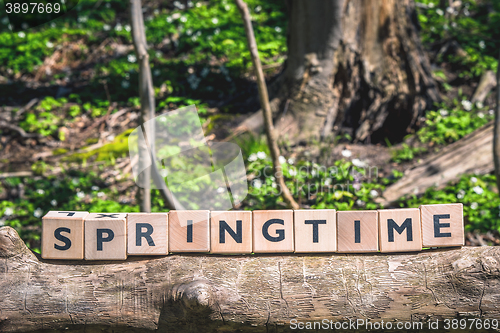 Image of Springtime message in a forest