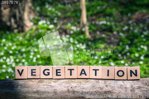 Image of Vegetation sign in a green forest with plants