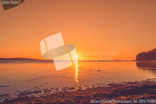 Image of Sunrise by a lake with ducks