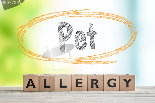 Image of Pet allergy sign on a wooden desk