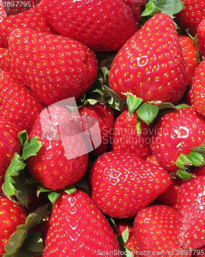 Image of Strawberries