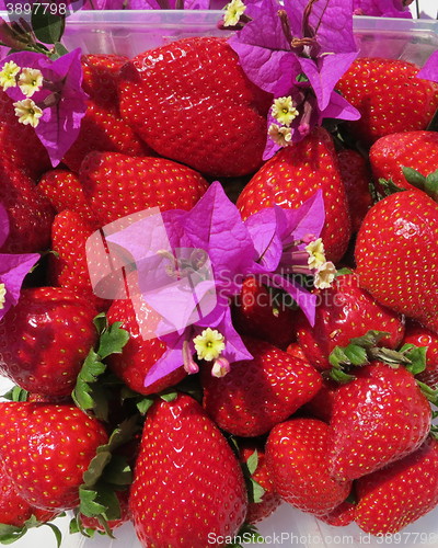 Image of Spanish Strawberries