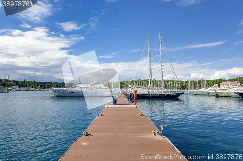 Image of Beautiful white yachts