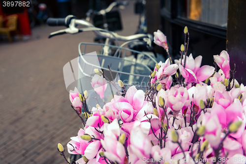 Image of Bicycle and flowers