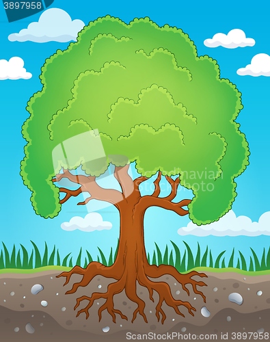 Image of Tree with roots theme image 2