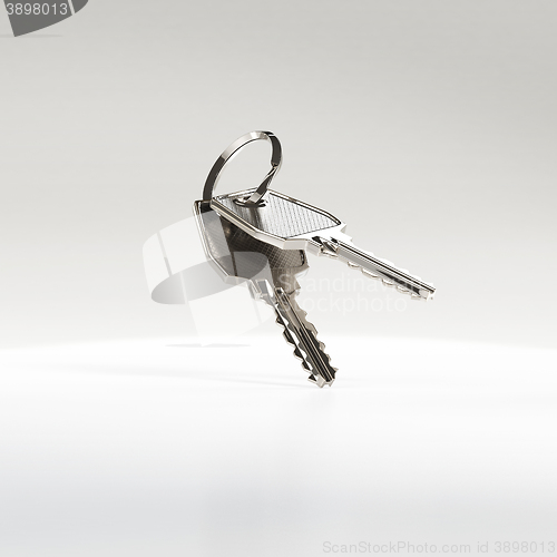 Image of Two keys on a ring.