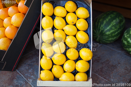 Image of Fresh lemons in an open cardboard box for sale