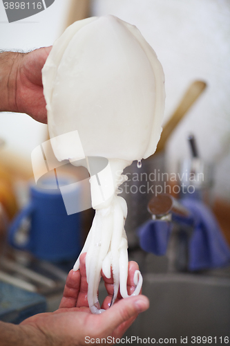 Image of Person cleaning a raw baby octopus or squid