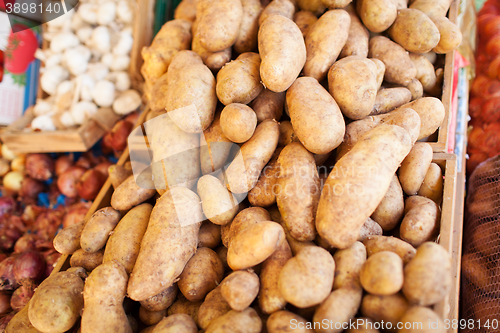 Image of Brown Skin Potatoes Piled in Crates at Food Market