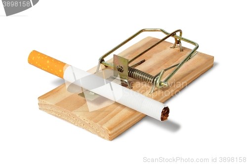 Image of Mousetrap with cigarette