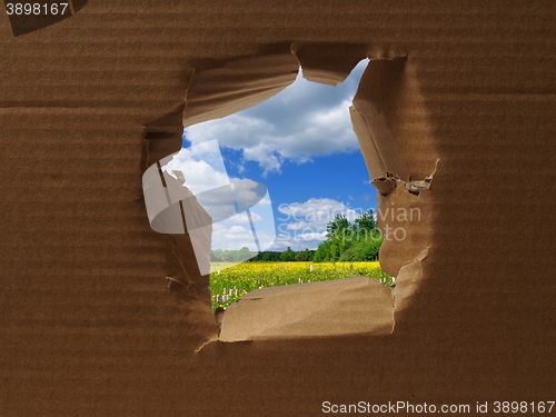 Image of Hole in cardboard