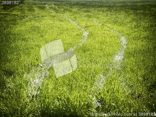 Image of Tire tracks in a meadow