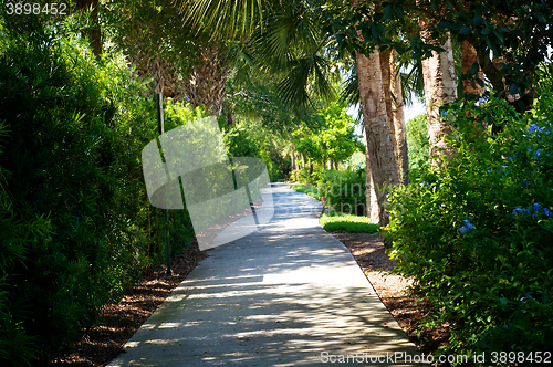 Image of tree lined manicured bike path