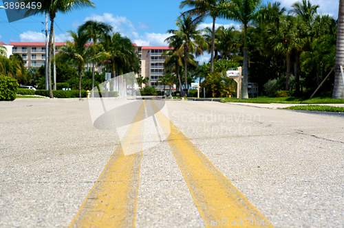Image of ground level view of road in florida