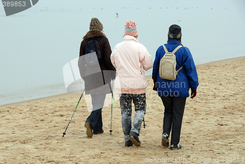 Image of nordic walking