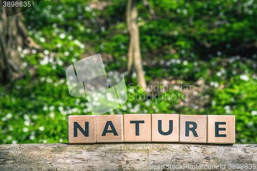 Image of Nature sign in a green forest