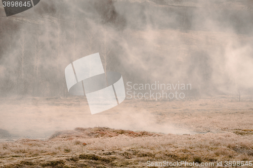 Image of Misty field with a mystic fog