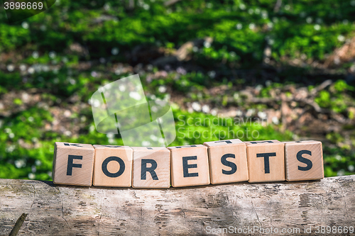 Image of Forest sign made of wooden cubes