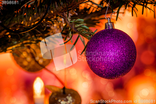 Image of Purple Xmas bauble on a Christmas tree