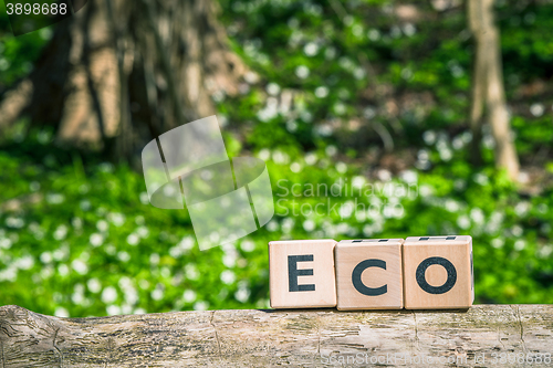 Image of Eco sign on a wooden branch