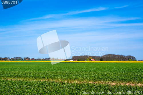 Image of Landscape with green and yellow fields