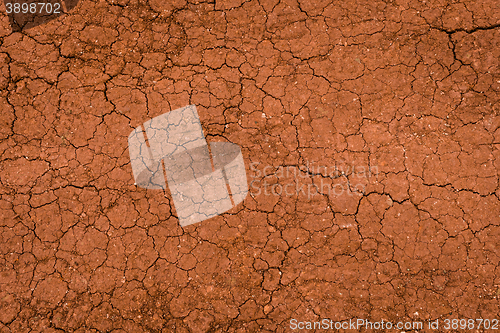 Image of Dry land surface with cracks