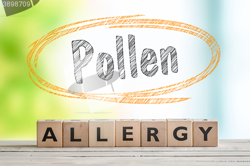 Image of Pollen allergy headline with a wooden sign