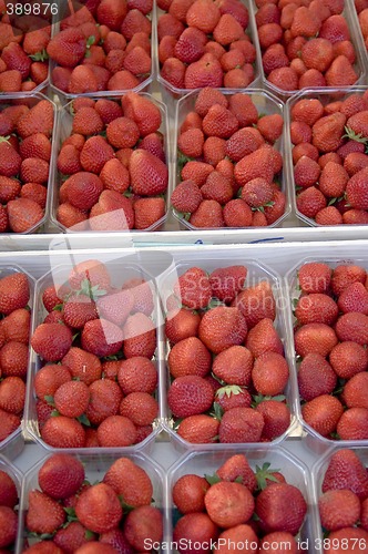 Image of strawberries