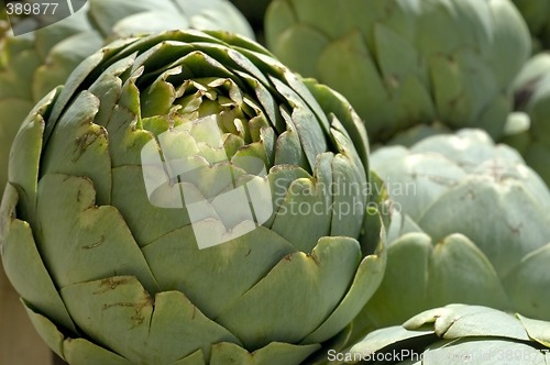 Image of artichoke