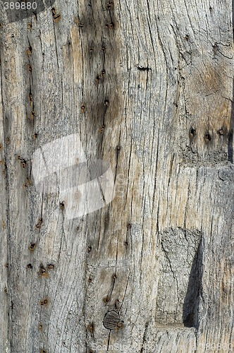Image of Ancient timber beam