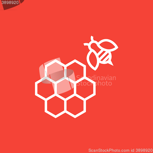 Image of Honeycomb and bee line icon.