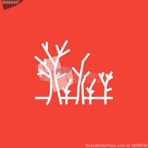 Image of Tree with bare branches line icon.