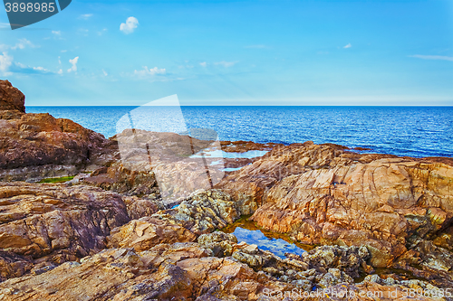 Image of Rocky Coast