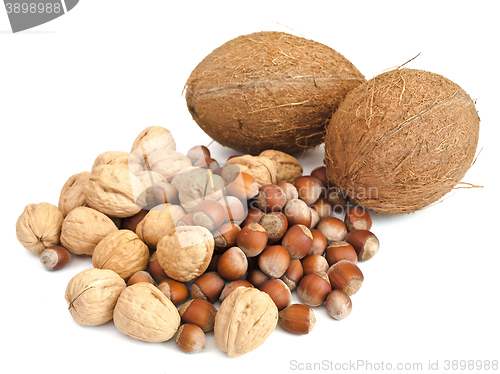 Image of Nuts