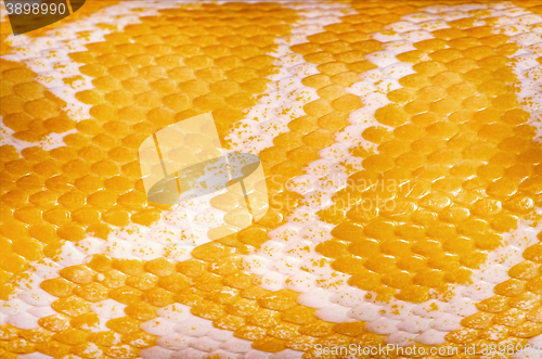 Image of Yellow Python Skin