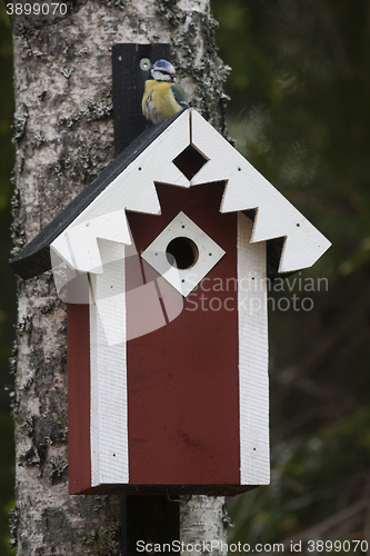 Image of bird house
