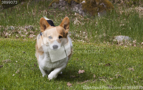 Image of coming