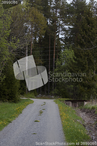 Image of small dirt road