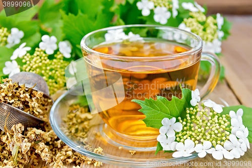 Image of Tea viburnum flowers in glass cup on wooden board