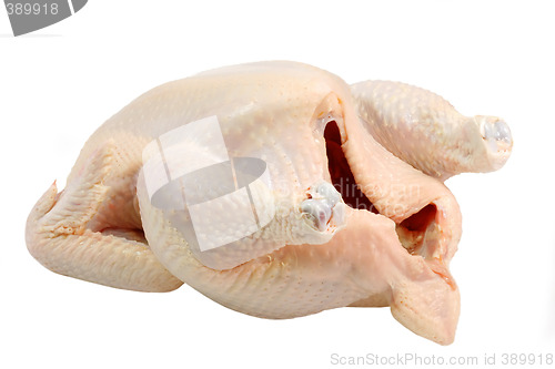 Image of Raw Chicken