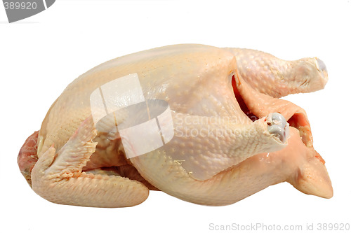 Image of  Raw poultry
