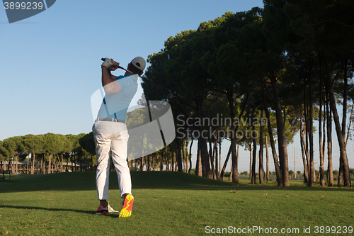 Image of golf player